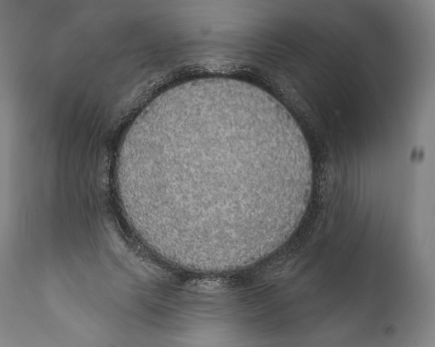 X0000110700639200907101222