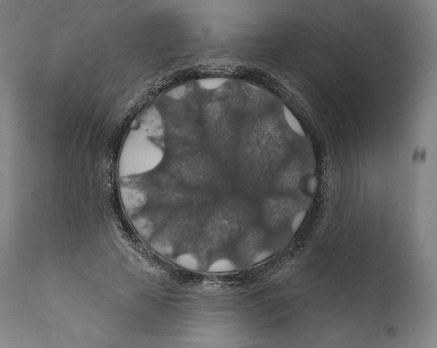 X0000110700641200907101222