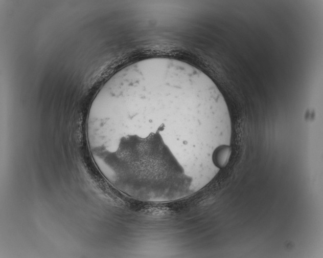 X0000110700642200907101222
