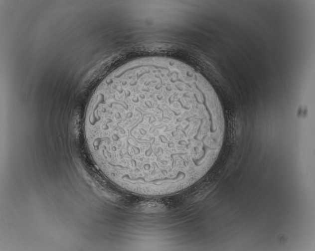 X0000110700644200907101222