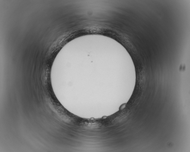 X0000110700645200907101222