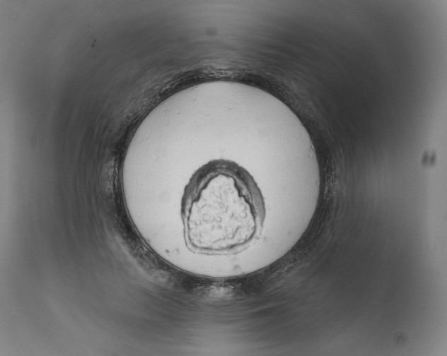 X0000110700647200907101222