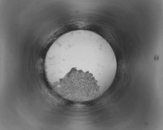 X0000110700650200907101222