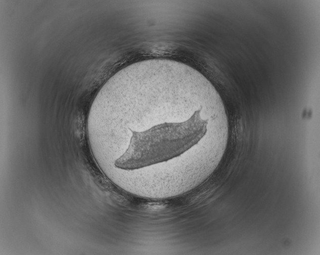 X0000110700651200907101222