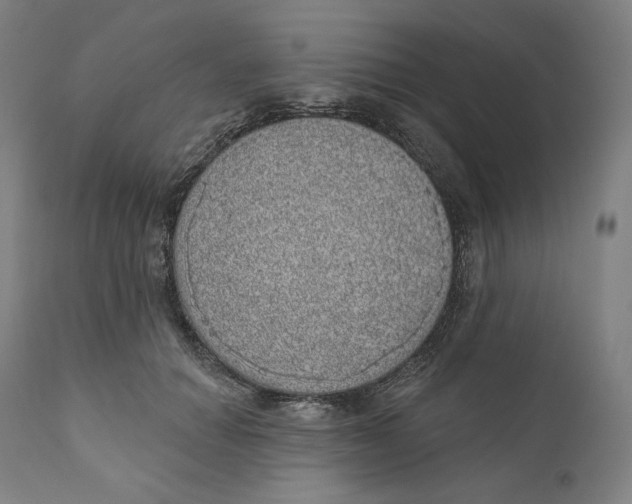 X0000110700654200907101222