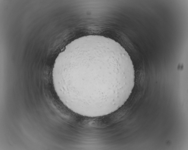 X0000110700655200907101222