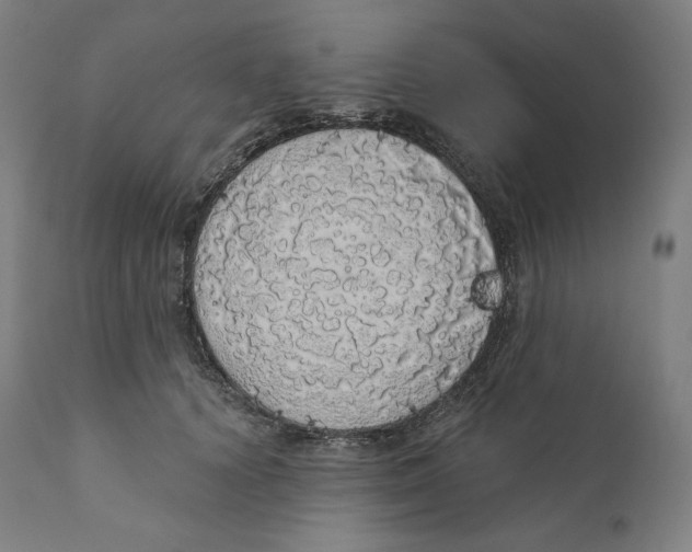 X0000110700656200907101222