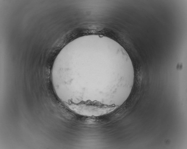 X0000110700657200907101222