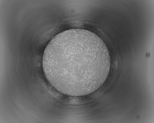 X0000110700658200907101222