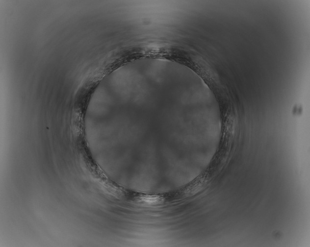 X0000110700659200907101222
