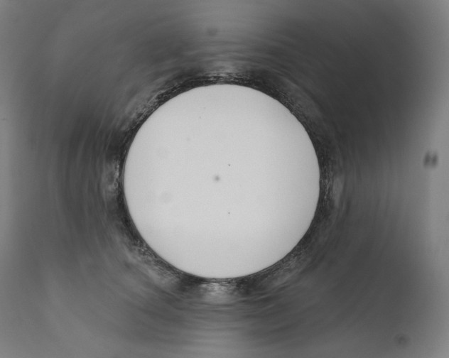 X0000110700660200907101222