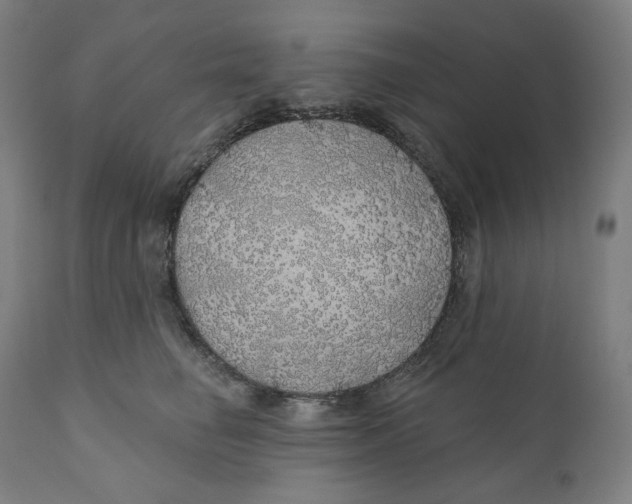 X0000110700662200907101222