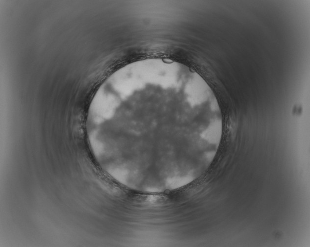 X0000110700663200907101222