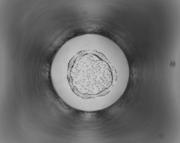 X0000110700664200907101222