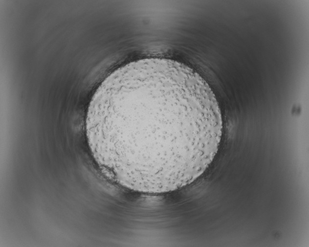 X0000110700665200907101222
