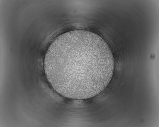X0000110700666200907101222