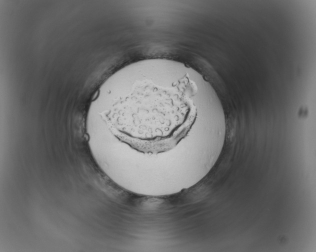 X0000110700669200907101222