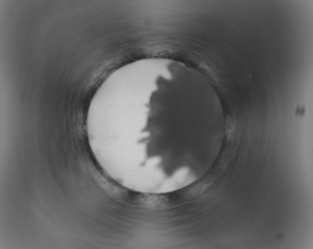 X0000110700670200907101222