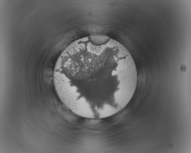 X0000110700671200907101222