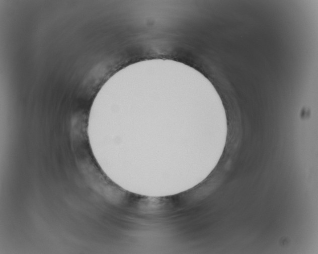 X0000110700672200907101222