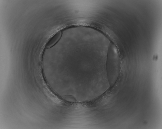 X0000110700673200907101221