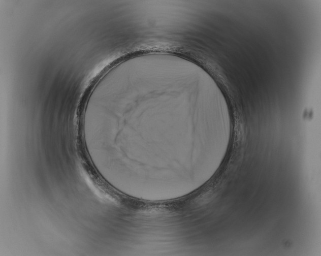 X0000110700674200907101221
