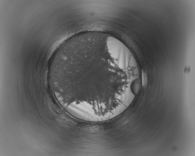 X0000110700675200907101221