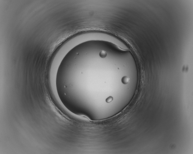 X0000110700677200907101221