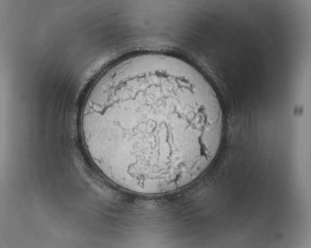 X0000110700679200907101221