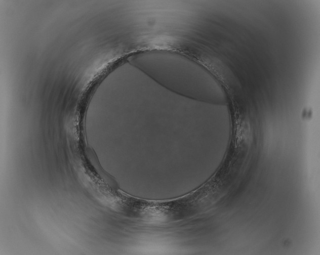X0000110700680200907101221