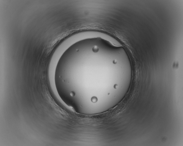 X0000110700681200907101221