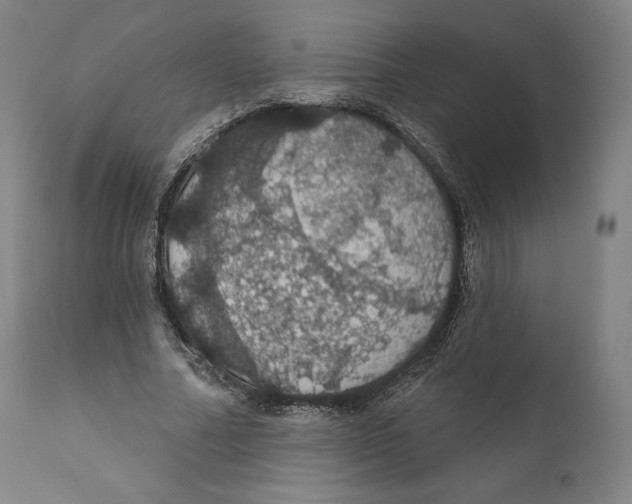 X0000110700682200907101221