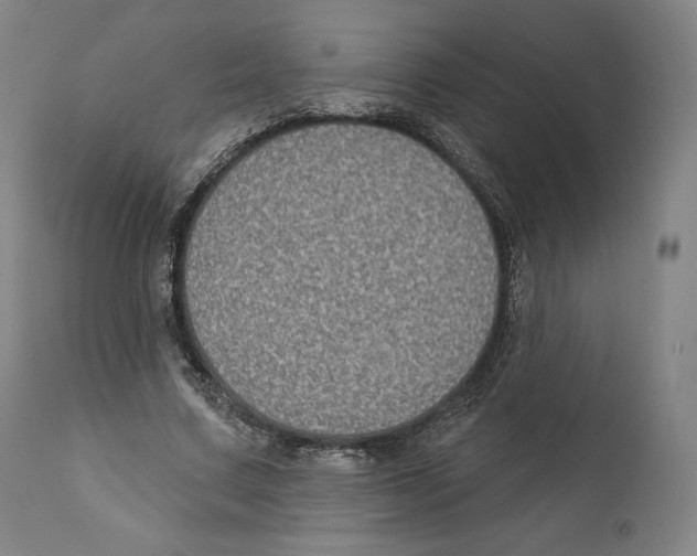 X0000110700683200907101221