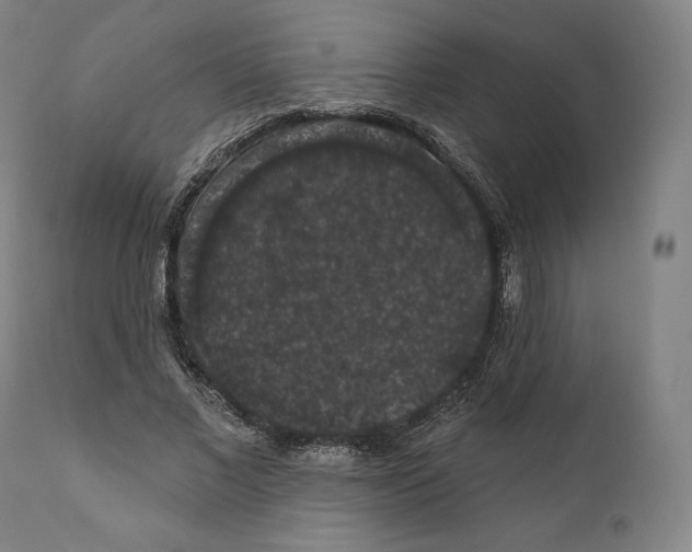 X0000110700685200907101221