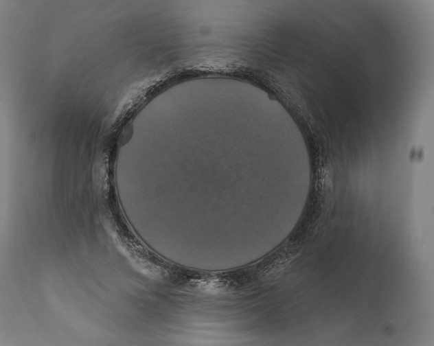 X0000110700688200907101221