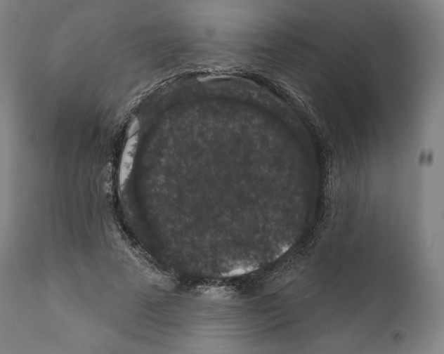 X0000110700689200907101221