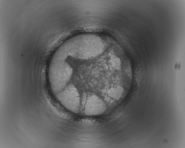 X0000110700690200907101221