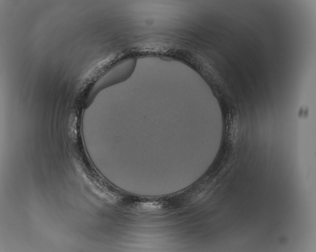 X0000110700692200907101221
