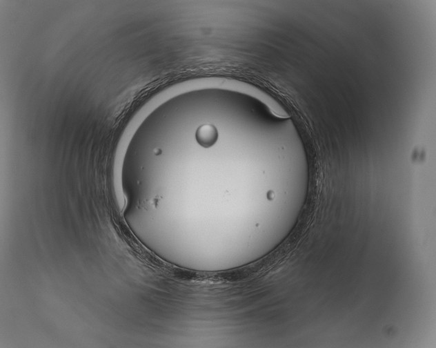 X0000110700693200907101221