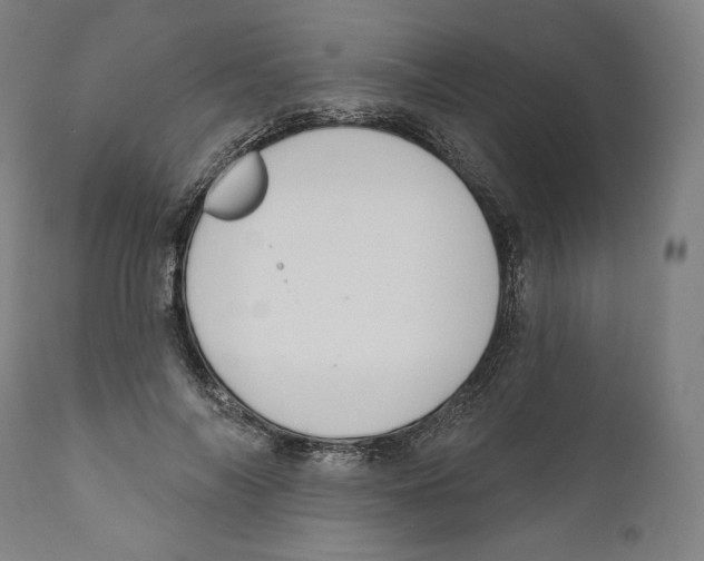X0000110700694200907101221