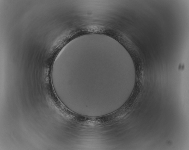 X0000110700696200907101221