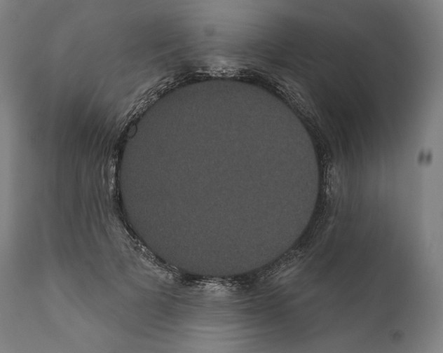 X0000110700697200907101221