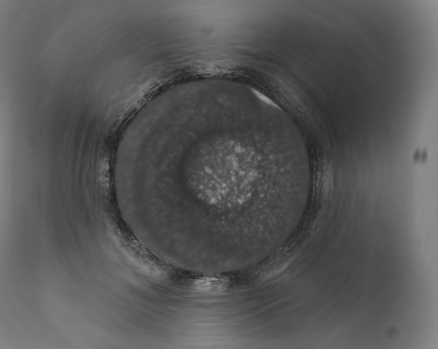 X0000110700700200907101221