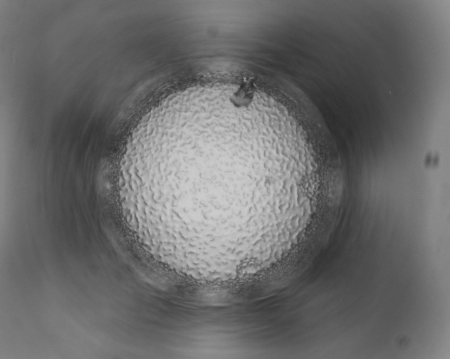 X0000110700701200907101221