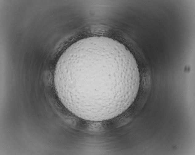 X0000110700705200907101221