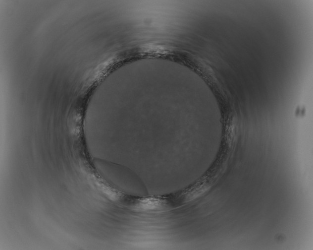 X0000110700708200907101221