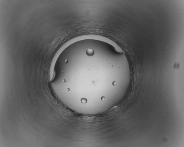 X0000110700709200907101221