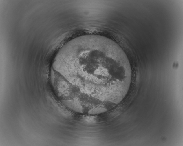 X0000110700710200907101221