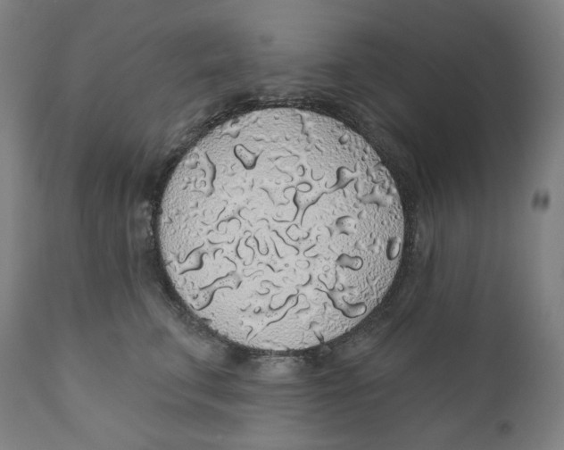 X0000110700711200907101221