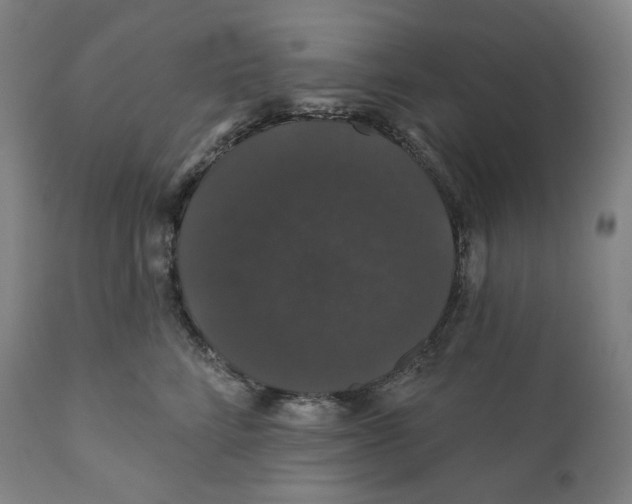 X0000110700712200907101221